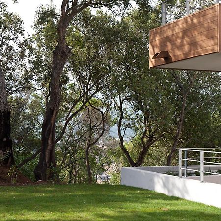 Residence Hoteliere Alcyon Porto-Vecchio  Zewnętrze zdjęcie